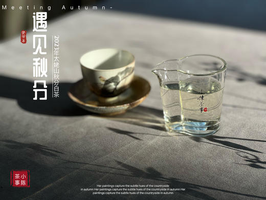 【2023秋分茶】汤水清透，白毫浮游，秋白茶的独一份清甜（1斤收藏装） 商品图13