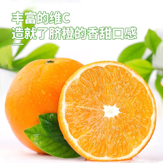 赣南脐橙【精品果】 新鲜应季水果鲜甜多汁回味无穷  10斤 商品图2