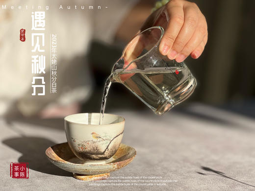 【2023秋分茶】汤水清透，白毫浮游，秋白茶的独一份清甜（1斤收藏装） 商品图11
