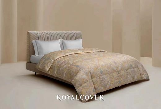 罗卡芙特罗佩亚西伯利亚鹅绒冬被，净重1300克 商品图0