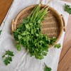 新鲜香菜 500g 商品缩略图3