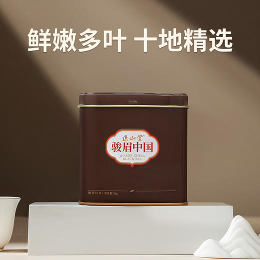 正山堂骏眉中国 摩卡（多叶）果香十大产区骏眉工艺罐装特级红茶50g 商品图2