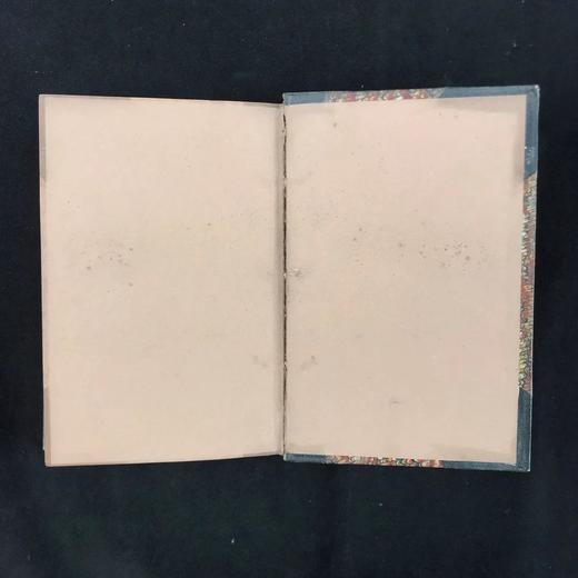 1848年 布尔渥-利顿《黎恩济》 5幅插图 真皮精装32开 商品图3