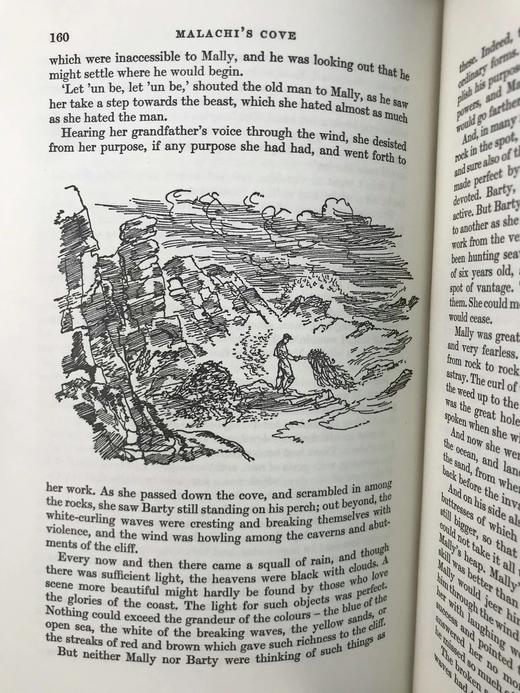 特罗洛普《普卢普林顿的两位女英雄与其他故事》 数十幅插图 精装18开带书匣 商品图11