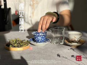 【2023秋分茶】汤水清透，白毫浮游，秋白茶的独一份清甜（60克装）