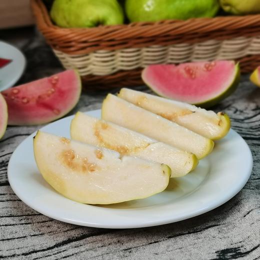 【奶油芭乐】长在树上的布丁  高颜值小清新  芭乐 甜柔糯‬滑 商品图9