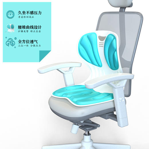 花瓣护腰坐姿神器 商品图2