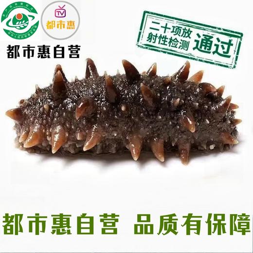 入选复购冠军榜单【6年足龄大个头】大连鲜食海参都市惠定制：长山列岛6年足龄种参 商品图4
