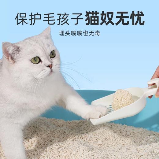 【美团渠道】【猫砂】麦斯蒂益生菌豆腐猫砂6L 绿茶/活性炭/奶香 结团快不沾底 商品图3