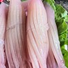 【特惠】坤兴火箭鱿鱼 250g/袋(约10个) 商品缩略图4