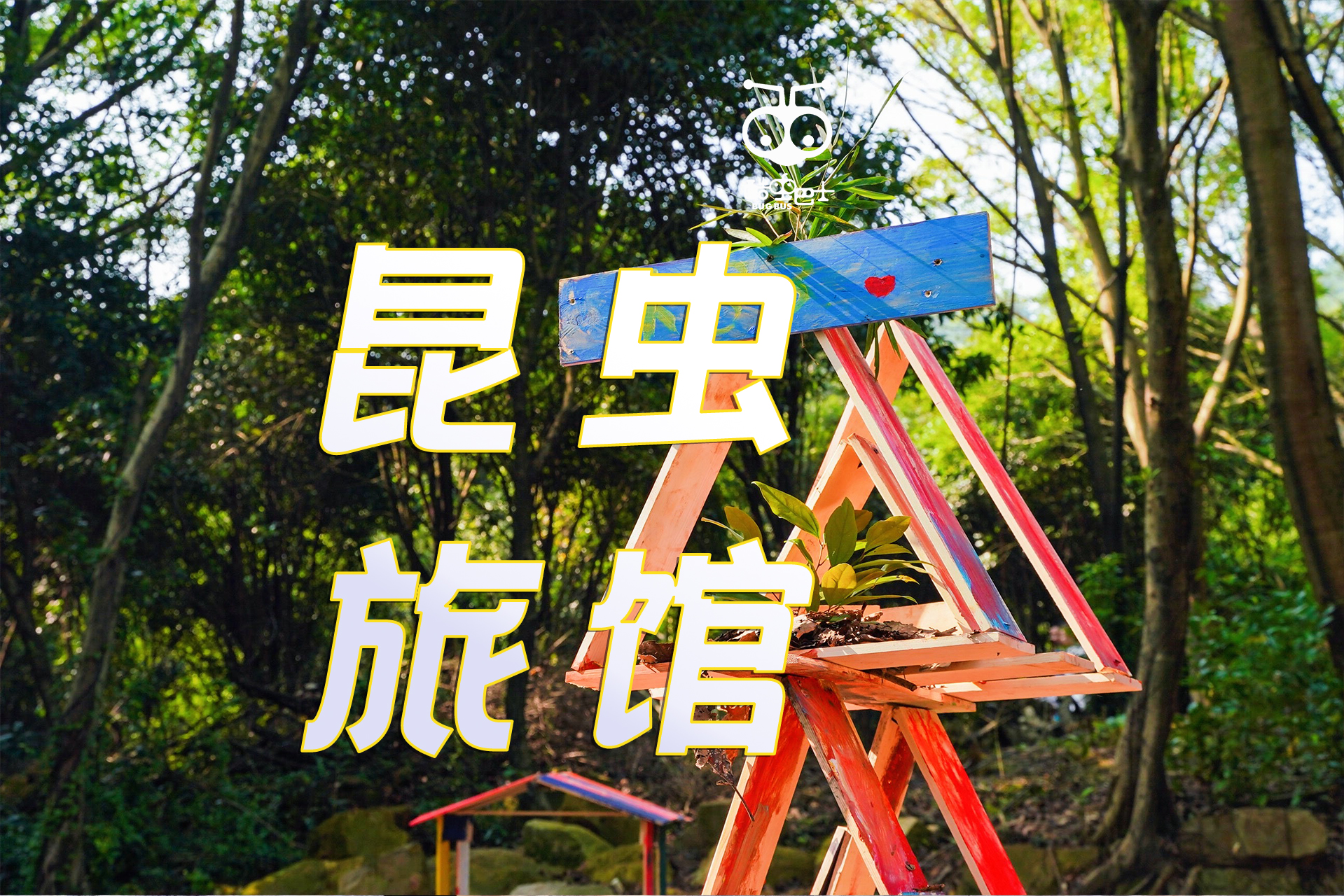 建一座昆虫旅馆 像建筑师一样动手、协作；像生物学家一样观察、思考！