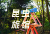 建一座昆虫旅馆 像建筑师一样动手、协作；像生物学家一样观察、思考！ 商品缩略图0