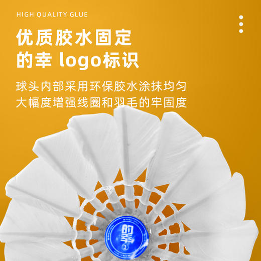 国羽严选均衡之翼1号球鹅毛羽毛球训练比赛用球强耐打飞行稳定性价比 商品图2