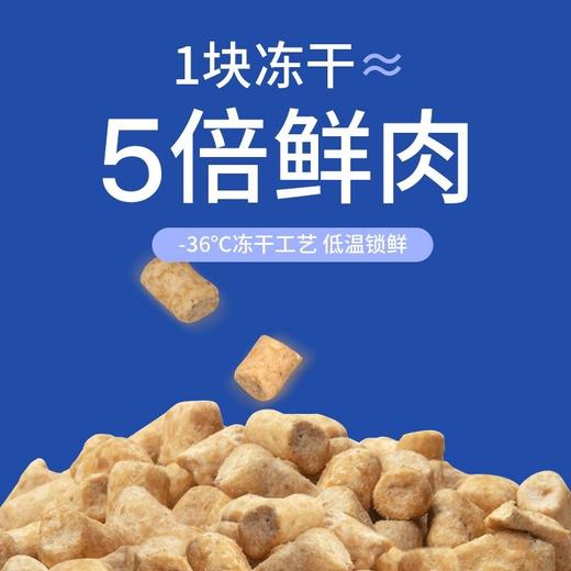 海洋之星狗粮冻干双拼全价犬粮鲜肉冻干鸡肉成幼犬粮1.8kg 商品图2