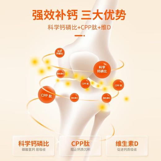 红狗钙王宠物钙片猫咪健骨补钙狗狗关节维生素D营养200片/瓶 商品图3