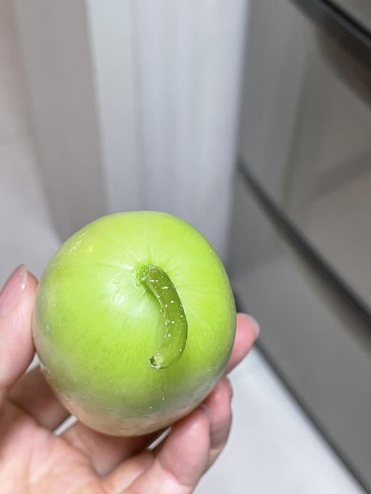 脆脆小奶瓜  有机种植，脆，鲜，清爽可口！削皮更好吃！ 商品图2
