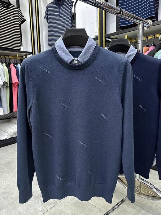 男反领毛衣29011 商品图1