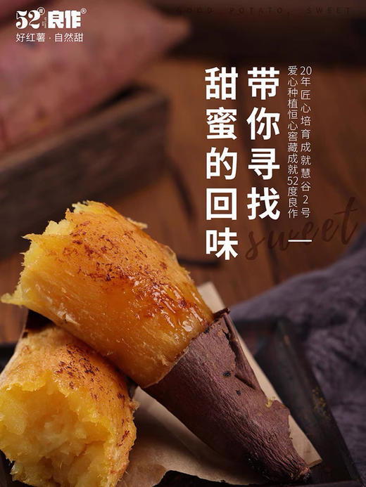 52度良作黄心蜜薯 商品图1