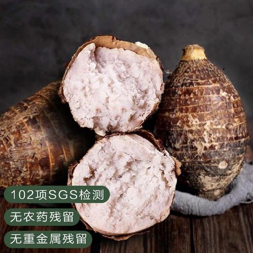 广西荔浦芋头 新鲜采摘 香味浓郁 粉糯香甜 4.5-5斤大芋礼盒装（约3-4个） 商品图0