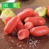 25H【特价】上海风味亲亲肠2.5kg/袋 （10g/个） 4袋/件 商品缩略图0
