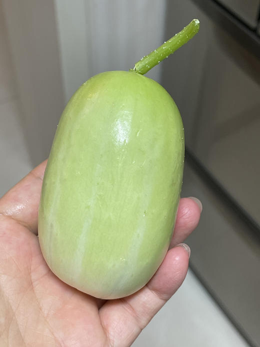 脆脆小奶瓜  有机种植，脆，鲜，清爽可口！削皮更好吃！ 商品图0