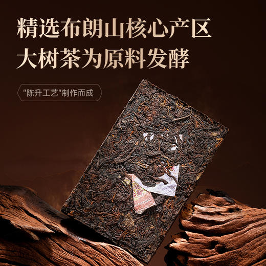 陈升号 2023瑰宝砖茶200g（熟茶） 商品图1