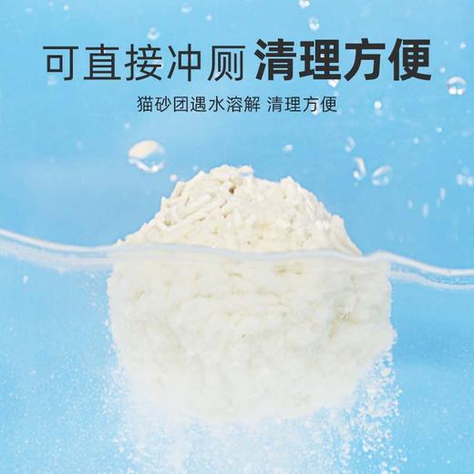 【美团渠道】【猫砂】麦斯蒂益生菌豆腐猫砂6L 绿茶/活性炭/奶香 结团快不沾底 商品图4