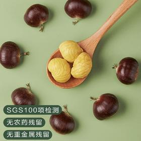 迁西鲜板栗  生吃脆甜 熟吃香甜粉糯 100项SGS检测  3斤装（每斤50粒左右）
