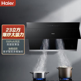 海尔（Haier）烟机CXW-258-EC910