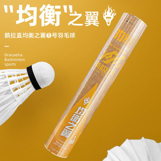 国羽严选均衡之翼1号球鹅毛羽毛球训练比赛用球强耐打飞行稳定性价比 商品图0