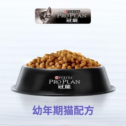 冠能猫粮幼猫1-12月哺乳孕期增肥发腮通用全价幼猫粮7kg/袋 商品图2