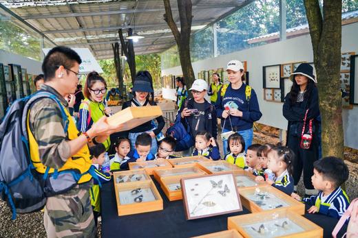 建一座昆虫旅馆 像建筑师一样动手、协作；像生物学家一样观察、思考！ 商品图5
