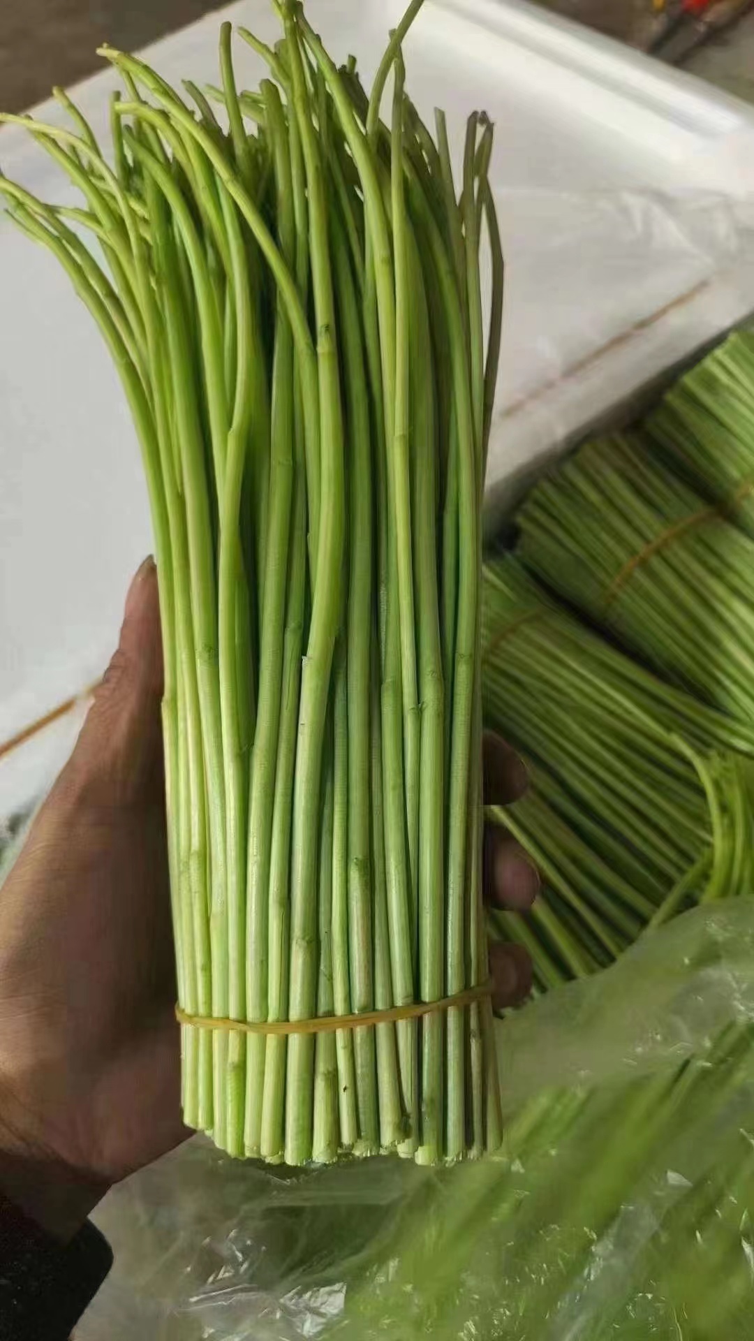 周五取货：【新鲜芦蒿】一袋400克左右，澈骨粉嫩，新鲜健康安全，不带叶子！