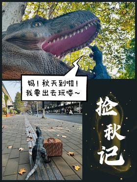 【南京】把秋天带回家