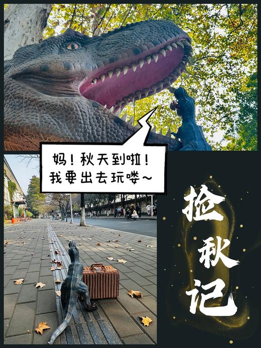【南京】把秋天带回家 商品图0