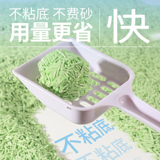 麦斯蒂甄纯豌豆豆腐猫砂2kg活性炭除臭不粘底 不费砂 商品图5