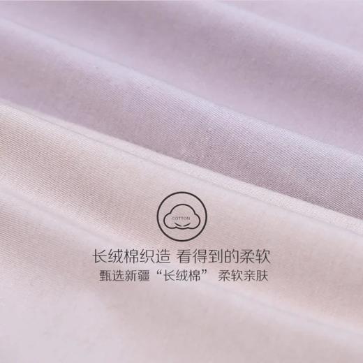 芳婷柔软型内衣系列干爽棉女士无痕三角裤少女蕾丝舒适贴体内裤女 商品图2