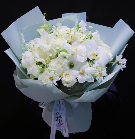 梦想飞扬 商品图1