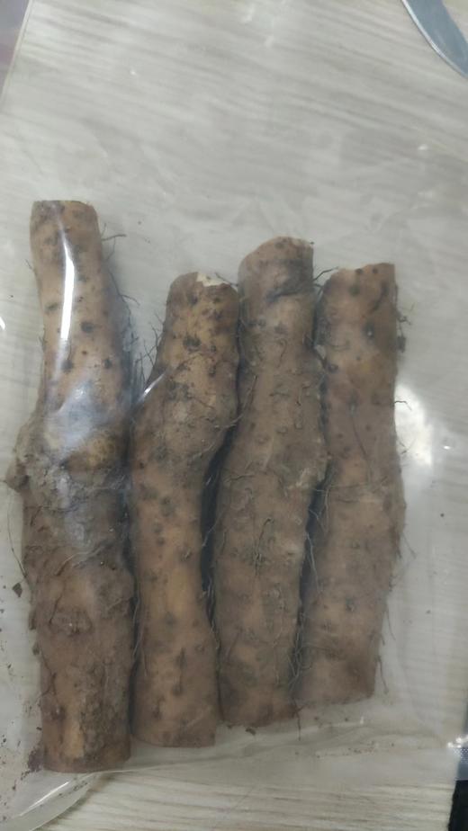 【自营】铁棍山药  310g±10g（生态种植） 商品图1