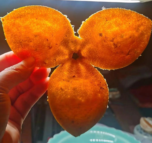 丨生态丨正宗8年新会陈皮 新会核心产区 554项农场零检出 商品图10