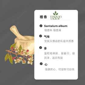 20  真正迈索尔老山檀香精油【香气020】