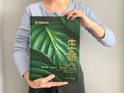 《DK探索百科：生命》精装(店铺活动单独赠文件夹分开发） 商品图6