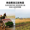 拾爸家⠀稻香米 | 甄选延寿稻花香2号大米，米香浓郁 商品缩略图3