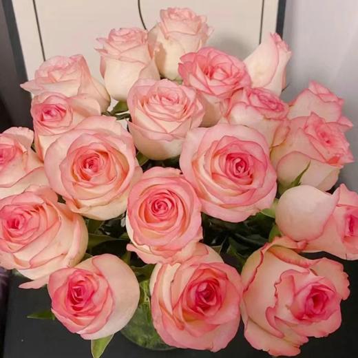 【拍市玫瑰】艾莎 20支/扎  粉色玫瑰  云南基地发货 （价格已包含包装费用） 运费以实际为准，多退少补。 商品图0