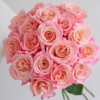 【拍市玫瑰】朱小姐 20支/扎 粉色玫瑰  云南基地发货 （价格已包含包装费用） 运费以实际为准，多退少补。 商品缩略图0