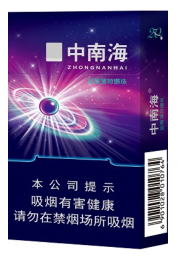 中南海（冰耀中支）