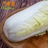 东升农场 有机娃娃菜 微型大白菜  广州供港新鲜蔬菜配送400g 商品缩略图4