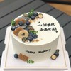 无蛋无奶无麸质 简约森系生日蛋糕 商品缩略图1