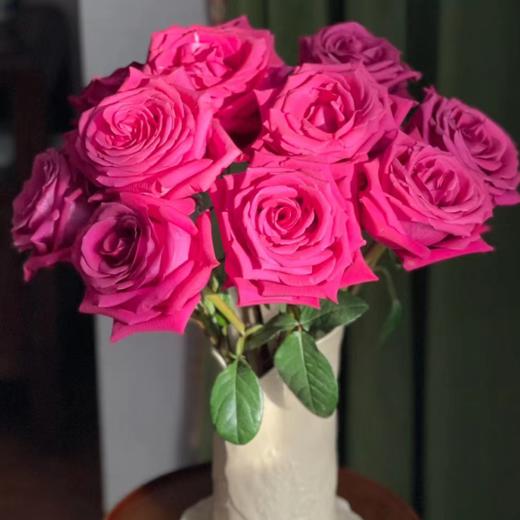 【拍市玫瑰】弗洛伊德 20支/扎  玫红色玫瑰  云南基地发货 （价格已包含包装费用） 运费以实际为准，多退少补。 商品图2