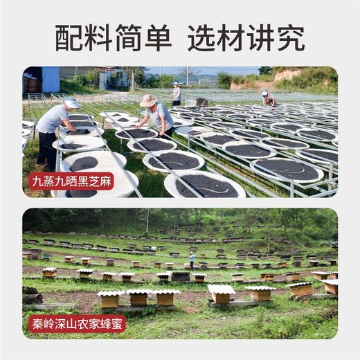 九制纯黑芝麻丸（蜂蜜版）丨 300g*2瓶 商品图2